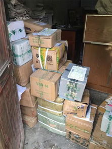 張金寶攜金財咨詢踐行社會責任，共筑鄉村教育未來——記“鄉村學校圖書室手拉手行動”