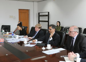 深化國(guó)際合作，共推政府財(cái)務(wù)報(bào)告改革——?jiǎng)⒗?huì)見(jiàn)國(guó)際貨幣基金組織政府綜合財(cái)務(wù)報(bào)告咨詢團(tuán)側(cè)記